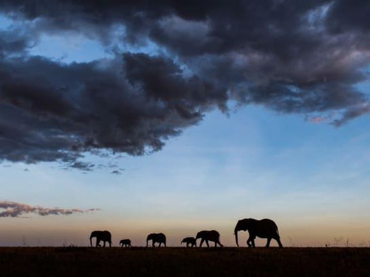 Foto New Big 5, Jangan Buru Mereka!