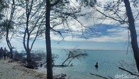 Pulau Lanjukang memiliki view menawan, ada beberapa pohon beringin dan kelapa tumbuh subur di tempat ini. Untuk harga sewa kapal kayu dengan mesin tempel dan 2 deck sekitar Rp 1 juta hingga Rp 2 juta dengan kapasitas penumpang mencapai 20 orang. 