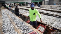 Selanjutnya ada program prioritas Rp 21 triliun atau 17,6% dari pagu Rp 123,67 triliun, dukungan UMKM dan korporasi sebesar Rp 42,03 triliun atau 21,7% dari pagu 193,53 triliun, sedangkan insentif usaha sebesar Rp 26,83 triliun atau 47,3% dari pagu Rp 56,72 triliun.