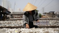 Airlangga menyebut sejauh ini perekonomian Indonesia terus mengalami perbaikan secara bertahap. Dari sisi demand, konsumsi pemerintah tumbuh 2,96% pada kuartal I-2021, ekspor tumbuh 6,74% dan impor tumbuh 5,27%.