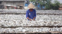 Pekerja menjemur ikan asin di sentra produksi kawasan Kampung Nelayan Muara Angke, Jakarta.