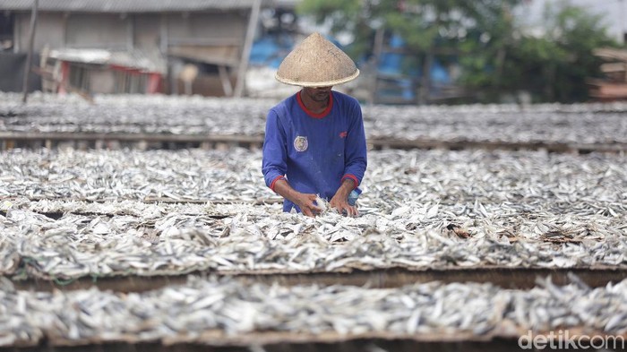 Pemerintah menganggarkan anggaran untuk program Pemulihan Ekonomi Nasional (PEN) di 2021 mencapai Rp 699,43 triliun.