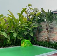 Di rumah Syahnaz juga terdapat kolam renang dengan sisi lantai panel kayu dan deretan tumbuhan tropis yang terasa seperti villa di Bali. (Foto: YouTube/NizNaz Channel)