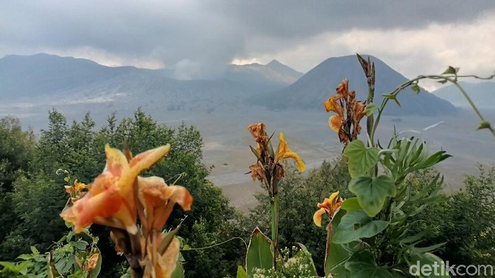 Ilustrasi Gunung Semeru.