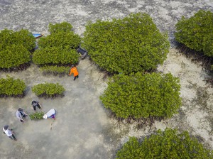 Pemerintah Putar Otak Cari Duit Rp 33 T buat Kelola Keanekaragaman Hayati