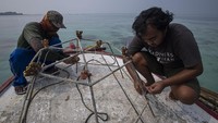 Tahun ini, peringatan Hari Keanekaragaman Hayati mengambil tema We Are Part of the Solution #ForNature. Dari tema itu, sudah seyogianya agar masyarakat mengambil peran dalam melindungi lingkungannya.  