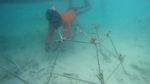 Sinergi Warga Jaga Lingkungan di Pulau Harapan