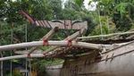 Foto Perahu Teluk Tanah Merah Papua, Bisa Dibedakan Jenis Kelaminnya