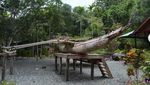 Foto Perahu Teluk Tanah Merah Papua, Bisa Dibedakan Jenis Kelaminnya