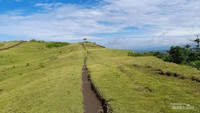 Bukit padang rumput hijau nan luas di Pantai Sayang Heulang