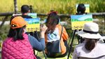 Potret Ledakan Wisata Pedesaan di China