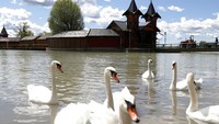 Disepanjang garis pantai Danau Balaton, terdapat banyak desa penduduk. Salah satunya desa kuno Szigliget.  