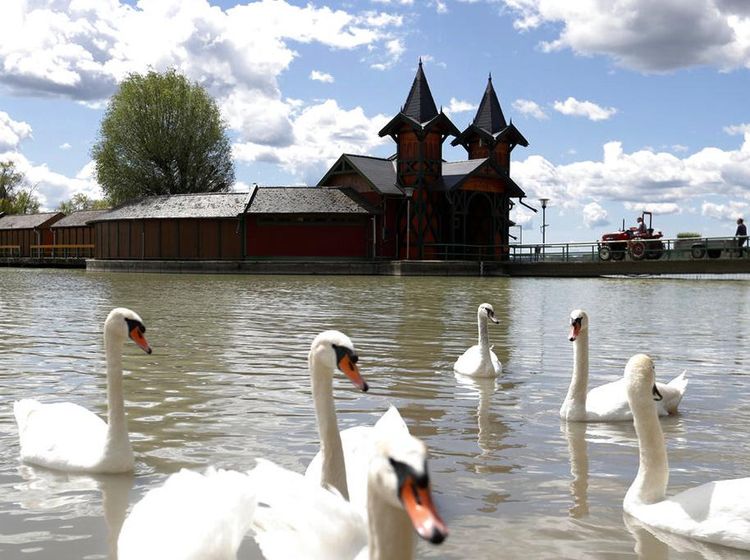Ancaman Kelestarian Danau Terluas di Eropa Tengah