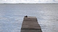 Jika Indonesia adalah negara kepulauan, lain halnya dengan Hungaria. Negara ini tidak memiliki laut, warganya tidak mungkin bisa melihat laut kalau tidak keluar negeri.   