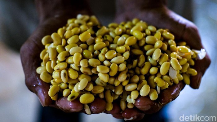 Harga kedelai global saat ini telah bergerak naik. Naiknya harga kedelai membuat produksi tahu di usaha mikro, kecil, dan menengah (UMKM) di Tangerang Selatan terganggu.