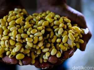 Naik-Turun Harga Sembako Jogja Sepekan Ini 2-7 Desember 2024