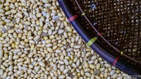 Pada pertengahan Mei 2021, harga kedelai dunia berada di kisaran US$ 15,86/bushels (Rp 10.084/kg harga akhir), naik sekitar 11,2 % dibanding April 2021 yang tercatat sebesar US$ 14,26/bushels (Rp 9.203/kg harga akhir).