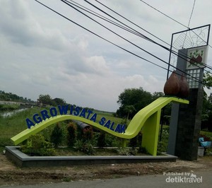 Jika ke Bojonegoro, Cobalah ke Kebun Salak di Taman Maha Dewi