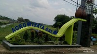 Kebun salak di Taman Maha Dewi Bojonegoro.