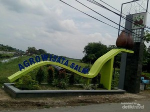 Jika ke Bojonegoro, Cobalah ke Kebun Salak di Taman Maha Dewi