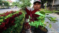 Tanaman portable dipilih untuk mempercantik kawasan Solo karena dapat dipindah sesuai kebutuhan.