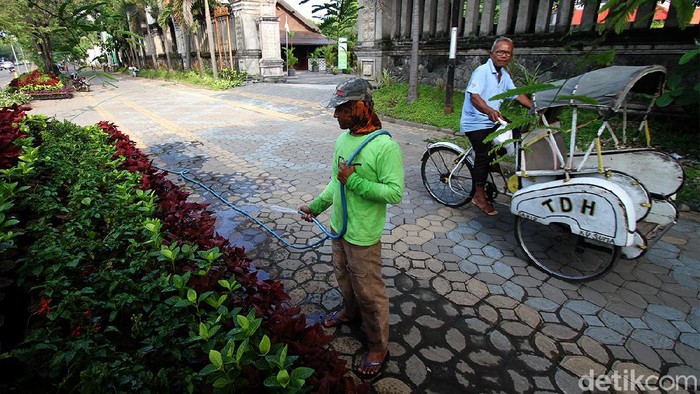 Perawatan dan pemeliharaan tanaman terus dilakukan untuk mempercantik kawasan Solo. Salah satunya dengan merawat tanaman portable di Jalan Slamet Riyadi.