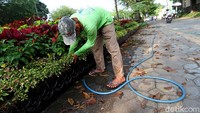 Tanaman portable itu disusun mulai dari depan rumah dinas Wali Kota Solo hingga di depan Museum Radya Pustaka.