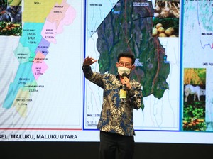 Mentan: Pertanian Jadi Penyelamat Ekonomi dari Resesi