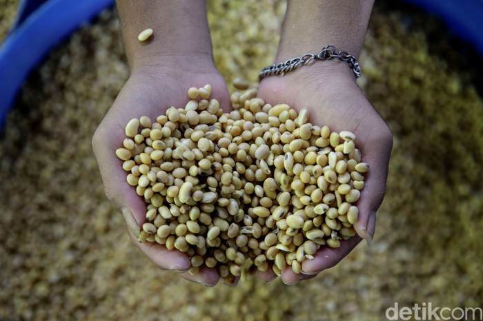 Harga tahu dan tempe berpotensi naik imbas meningkatnya harga kedelai dunia. Lantas bagaimana nasib para produsen tahun dan tempe di Tanah Air?