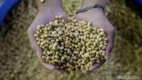 Berdasarkan tren harga yang dikutip dari Chicago Board of Trade (CBOT), harga kedelai dunia masih mengalami kenaikan. Pada pertengahan Mei 2021, harga kedelai dunia berada di kisaran US$ 15,86/bushels (Rp10.084/kg harga akhir), naik sekitar 11,2 % dibanding April 2021 yang tercatat sebesar US$ 14,26/bushels (Rp9.203/kg harga akhir).