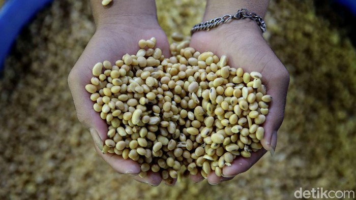 Harga tahu dan tempe berpotensi naik imbas meningkatnya harga kedelai dunia. Lantas bagaimana nasib para produsen tahun dan tempe di Tanah Air?