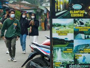 Enggak Ada Toleransi, Pendaki Langgar Prokes di Gede Pangrango Harus Turun