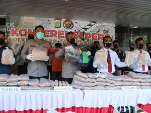 Polisi Bongkar Peredaran 65 Kg Ganja di Tangerang-Jakpus, Modus Kirim Via Paket