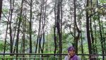 Rekomendasi Cafe dan Tempat Kuliner Hits di Bogor