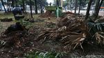 Sempat Tak Terurus, Taman Martha Tiahahu Blok M Dibersihkan