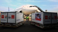 8 Juta Vaksin Sinovac Kembali Mendarat di Indonesia