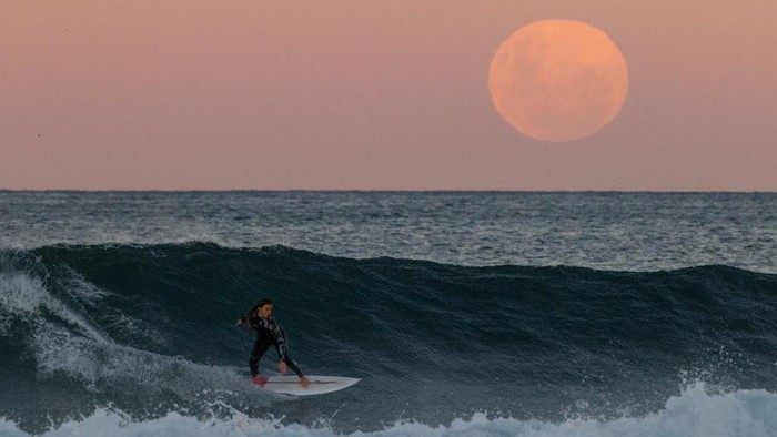 SYDNEY, AUSTRALIA - MAY 26: A surfer rides a wave as a super blood moon rises above the horizon at Manly Beach on May 26, 2021 in Sydney, Australia. It is the first total lunar eclipse in more than two years, which coincides with a supermoon.  A super moon is a name given to a full (or new) moon that occurs when the moon is in perigee - or closest to the earth - and it is the moons proximity to earth that results in its brighter and bigger appearance. (Photo by Cameron Spencer/Getty Images)