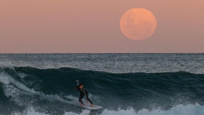 1320114366 SYDNEY, AUSTRALIA - MAY 26: A surfer rides a wave as a super blood moon rises above the horizon at Manly Beach on May 26, 2021 in Sydney, Australia. It is the first total lunar eclipse in more than two years, which coincides with a supermoon. A super moon is a name given to a full (or new) moon that occurs when the moon is in perigee - or closest to the earth - and it is the moon's proximity to earth that results in its brighter and bigger appearance. (Photo by Cameron Spencer/Getty Images)