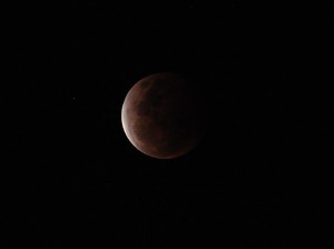 Bakal Ada Gerhana Bulan, dari Indonesia Keliatan?