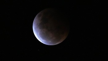 Penampakan di Australia. Foto: AP