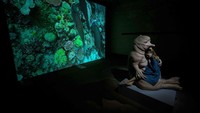 Dalam pameran terbesar ini, Piccinini menciptakan sensasi multi-indera lewat ekosistem pahatan, video, suara dan cahaya.
