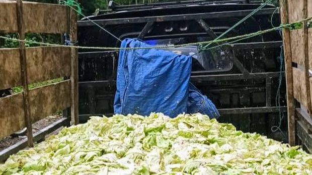 Limbah sayur di sepnajang jalan ke Kawah Ijen