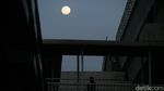 Melihat Keindahan Bulan Saat Sore di Langit Jakarta