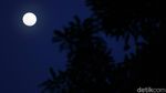 Melihat Keindahan Bulan Saat Sore di Langit Jakarta