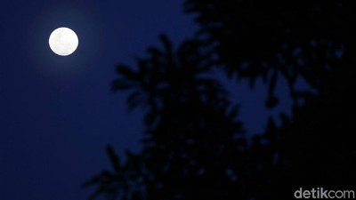 Melihat Keindahan Bulan Saat Sore di Langit Jakarta