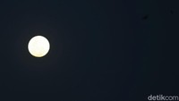 Pada saat bulan purnama, bulan akan berada tepat di seberang matahari. Ini berarti, bulan terbit tepat saat matahari terbenam, dan akan menghilang saat matahari terbit.