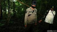 Di Cibodas, sebagian besar polisi hutan tengah berpatroli di pagi hari dan berpencar ke sejumlah titik.
