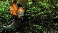 Polisi hutan mengawasi aksi penebangan liar oleh warga. Mereka juga melindungi satwa di suatu kawasan hutan.