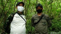 Polisi hutan memiliki pakaian dinas harian dan pakaian dinas lapangan berwarna hijau tua.