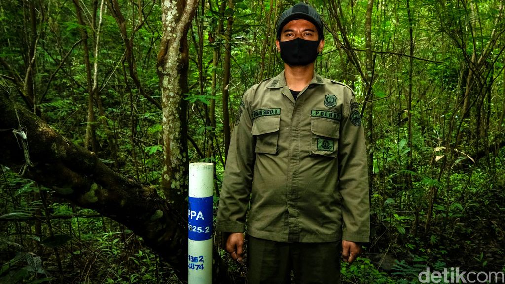 Polisi hutan menjadi garda terdepan dalam menjaga kelestarian rimba. Di Gunung Gede-Pangrango, mereka turut andil dalam menjaga keberlangsungan di hutan.
